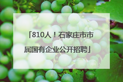 810人！石家庄市市属国有企业公开招聘