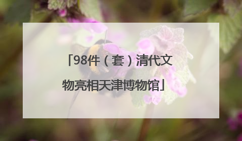 98件（套）清代文物亮相天津博物馆