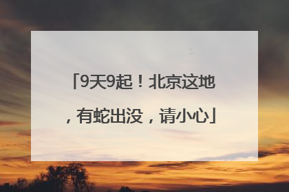 9天9起！北京这地，有蛇出没，请小心