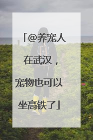 @养宠人 在武汉，宠物也可以坐高铁了