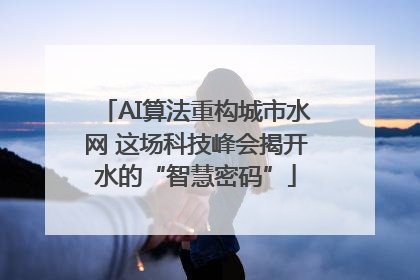 AI算法重构城市水网 这场科技峰会揭开水的“智慧密码”