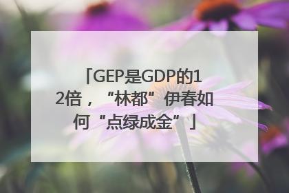 GEP是GDP的12倍，“林都”伊春如何“点绿成金”