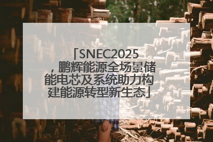 SNEC2025，鹏辉能源全场景储能电芯及系统助力构建能源转型新生态